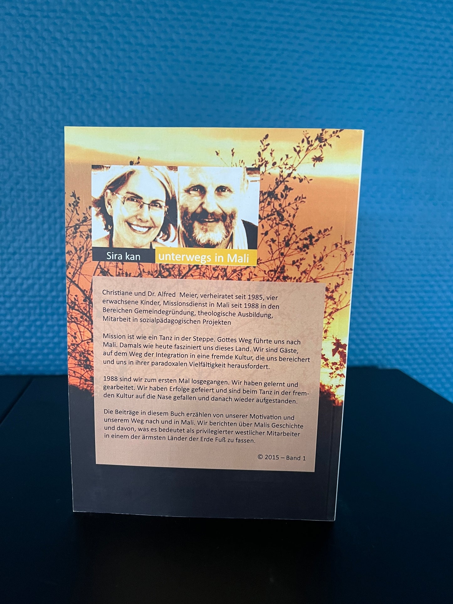 Alfred Meier: Steppentanz 1 – Im Staub der Fremde