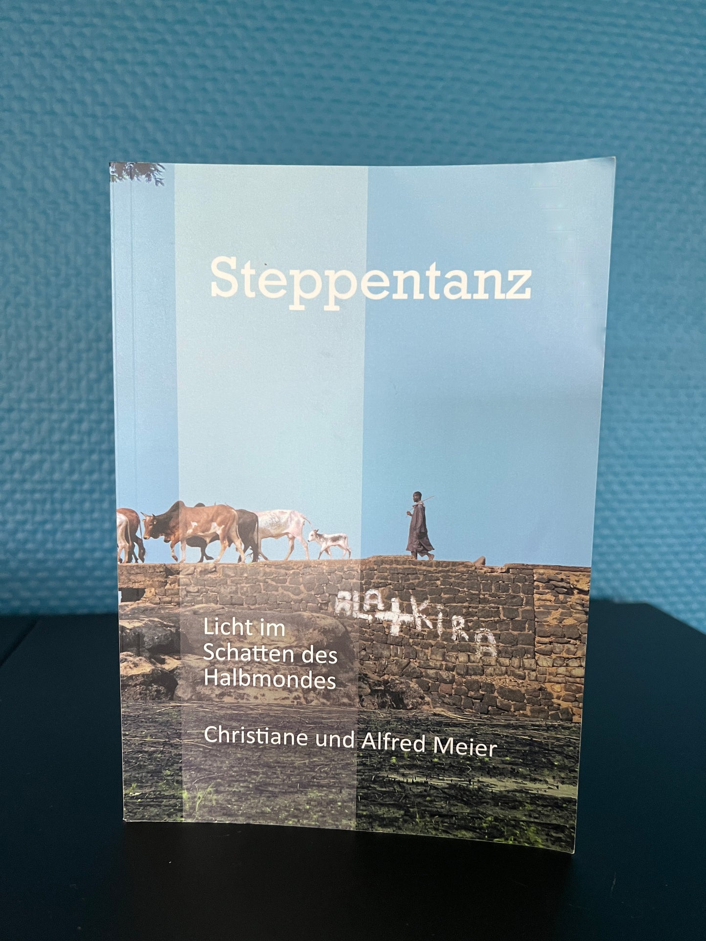 Alfred Meier: Steppentanz 3 – Licht im Schatten des Halbmondes