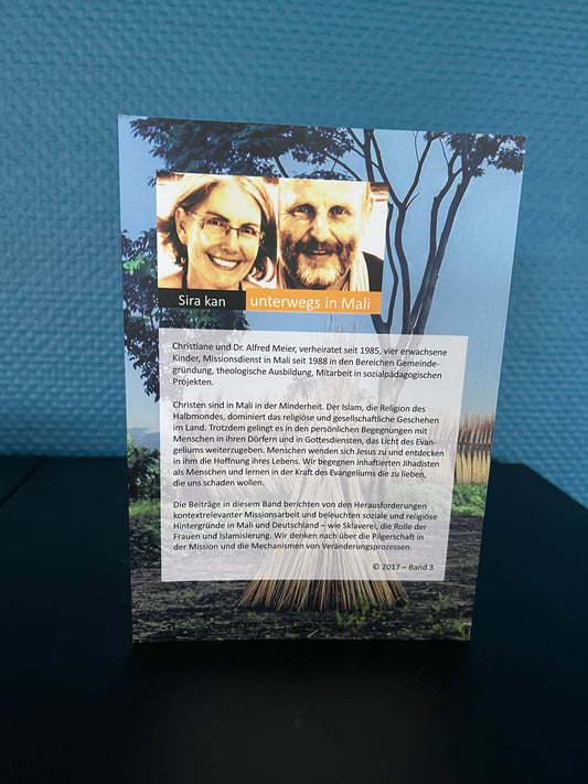 Alfred Meier: Steppentanz 3 – Licht im Schatten des Halbmondes