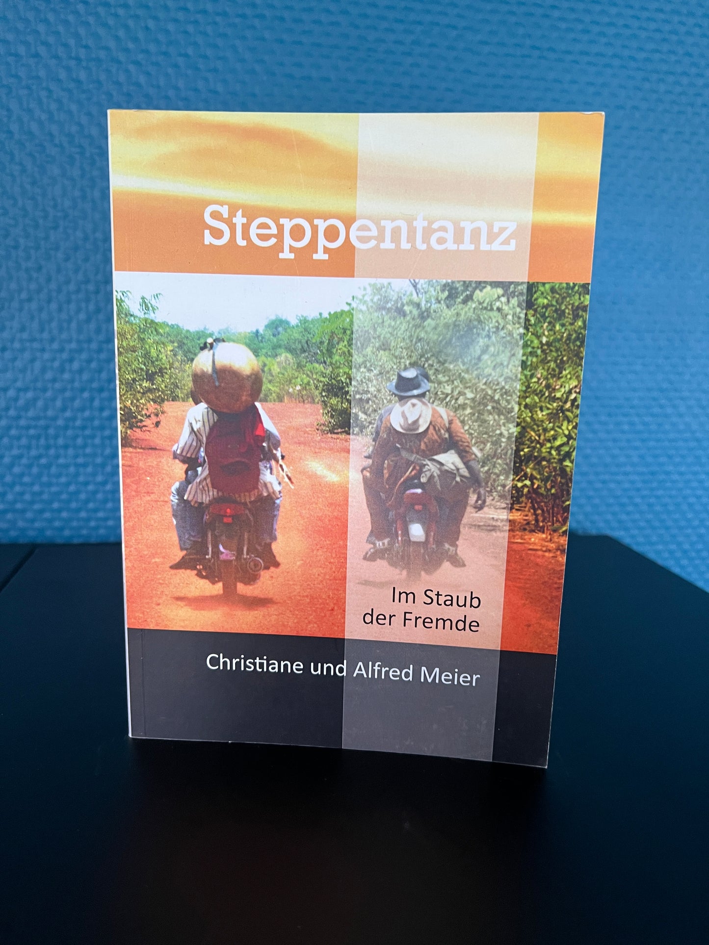 Alfred Meier: Steppentanz 1 – Im Staub der Fremde